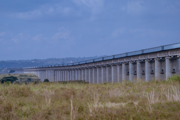 Nairobi: National Park Game Drive with Local Guide