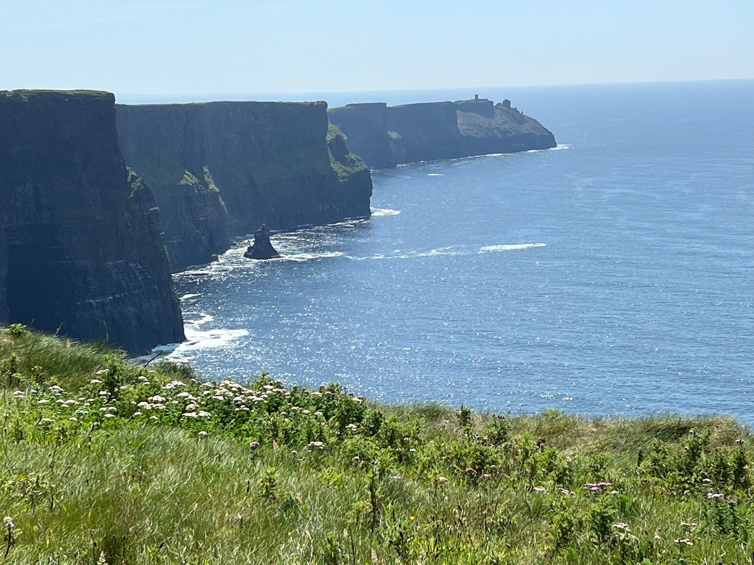 Galway: Tour zu den Klippen von Moher, Dunguaire Castle & Burren