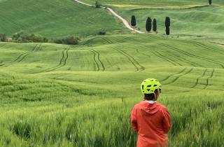 Siena: Führung Fahrradtour durch das Val d'Orcia