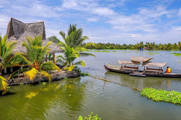 科钦：瓦加蒙、阿勒皮和库马拉科姆 5 日游科钦：瓦加蒙、阿勒佩和库马拉科姆 5 日游