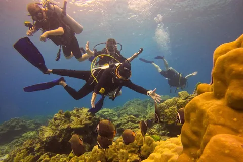 From Phuket: Full-Day Similan Island Scuba Diving Day Trip