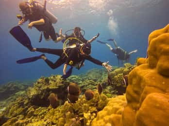 From Phuket: Full-Day Similan Island Scuba Diving Day Trip