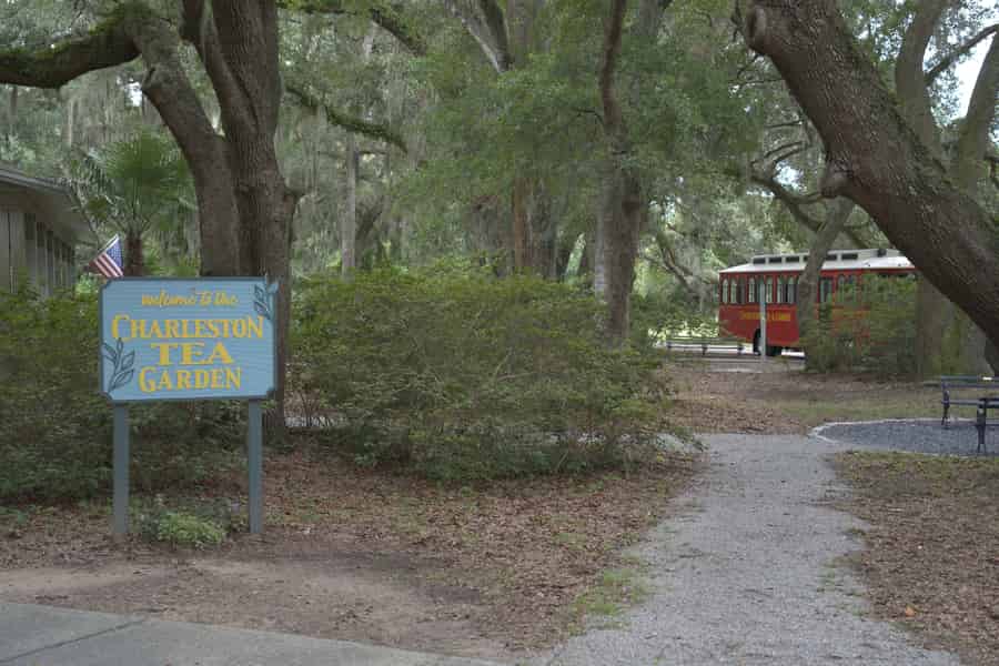 Trolley-Tour durch den Teegarten von Charleston. Foto: GetYourGuide Trolley-Tour durch den Teegarten von Charleston. Foto: GetYourGuide