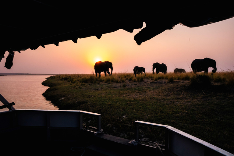 From Victoria Falls: 3 hour Chobe River Sunset Cruise
