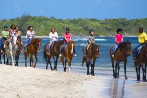 Chukka Horseback Ride &amp; Swim from Montego BayHorseback Ride &amp; Swim