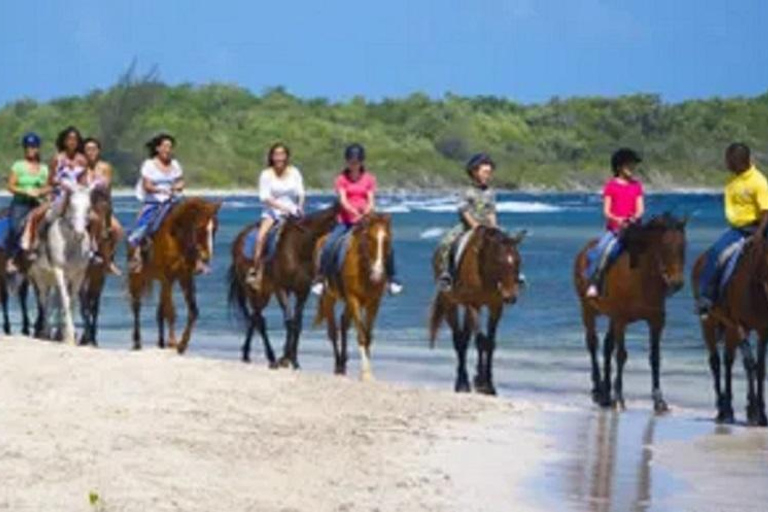 Chukka Horseback Ride &amp; Swim from Montego BayHorseback Ride &amp; Swim