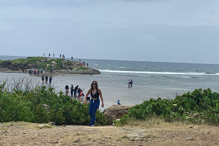 St Maarten : Volière et route panoramique