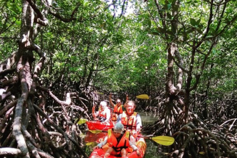 Ko Lanta: Tour de medio día EXPLORA MANGROVE en KAYAKING Tour