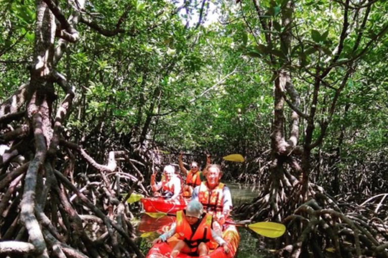 Ko Lanta: Halve Dag Tour EXPLORE MANGROVE per KAYAKING Tour