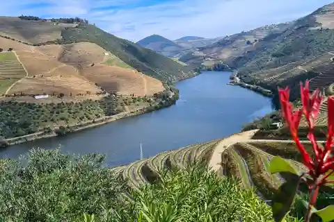 De Peso da Régua: Visita a 3 adegas, degustação e miradouro