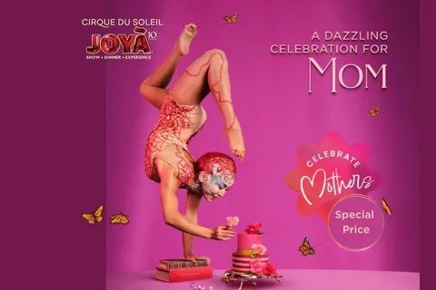 Cancún: Cirque du Soleil JOYÀ Show Ticket