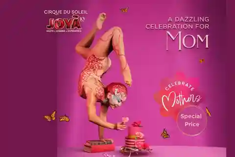 Cancún: Cirque du Soleil JOYÀ Show Ticket