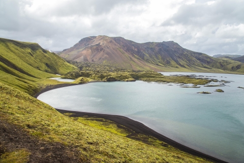 Islandia: tour de senderismo de 4 horas por LandmannalaugarDesde Reikiavik: senderismo de 4 horas por Landmannalaugar