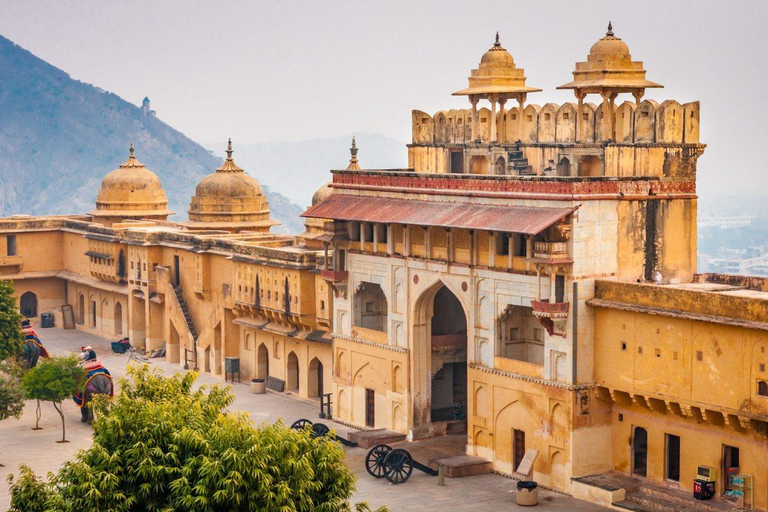 Depuis Delhi : visite guidée de Jaipur avec prise en charge