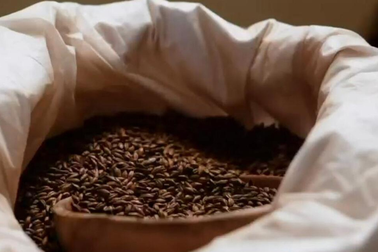 Medellin: Guatape & The Coffee Route