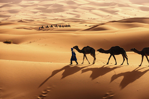 Da Agadir/Taghazout: dune di sabbia del Sahara con trasferimento