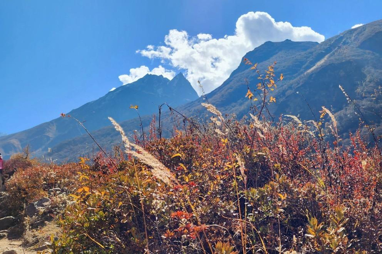 Langtang Valley Trek: Ein 6-tägiges All-Inclusive-Abenteuer