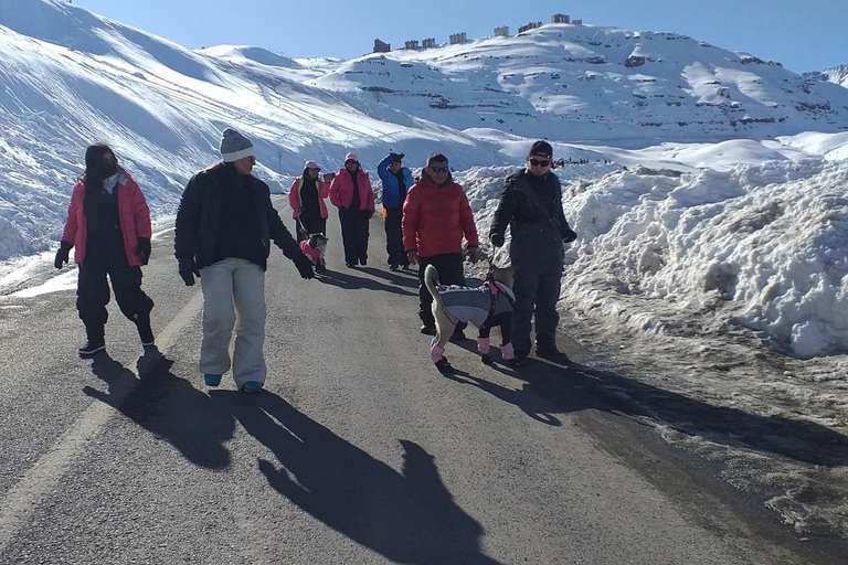 Andes Snow Adventure Valle Nevado, La Parva &amp; Farellones