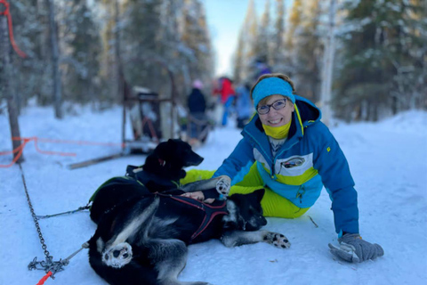 Levi: 5 Km Husky Sledding Ride in Levi
