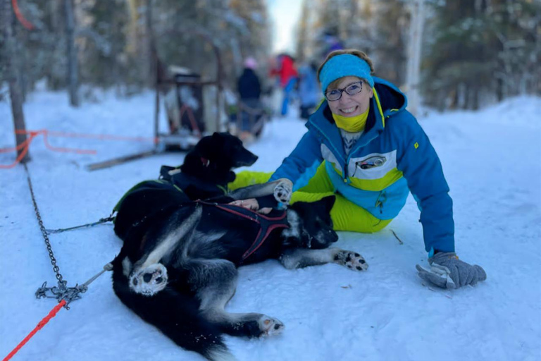Levi: 5 Km Husky Sledding Ride in Levi