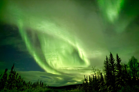 Fairbanks: Arctic Circle Tour with Northern Lights Hunt