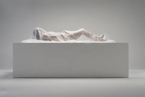 Elche: "Ingresso para a exposição "O Homem Misterioso