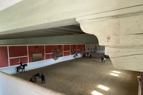 from Estepona, Marbella, Mijas: RONDA private tour incl. transportation and tapas