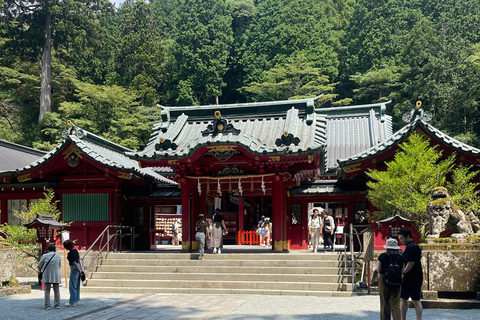 4-Daagse privétour Mt Fuji, Hakone, Nikko en Tokio.