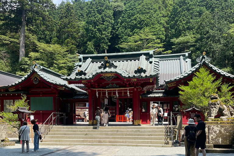 4-Daagse privétour Mt Fuji, Hakone, Nikko en Tokio.