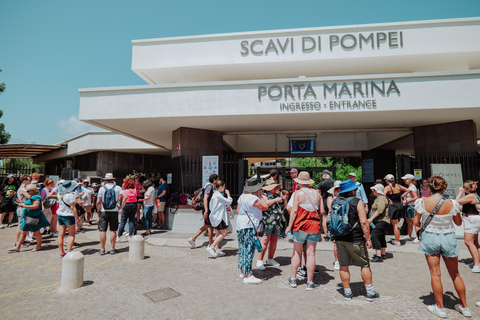 From Rome: Pompeii & Vesuvius Guided Excursion by Train
