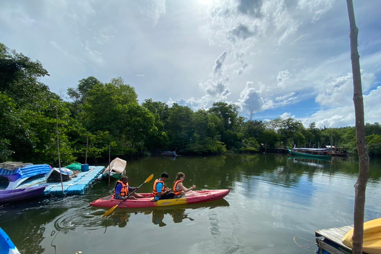 Khao Lak: Three Waters—Mangroves, Turtles, Waterfall
