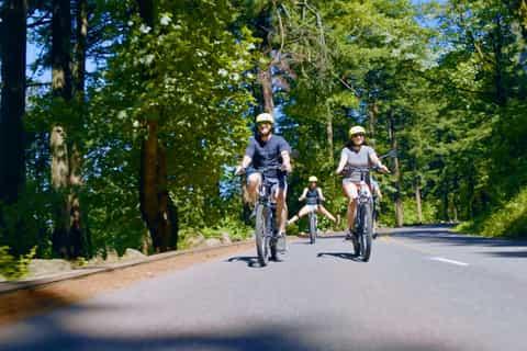 kinderfahrrad amazon Kinderfahrrad - niXe 12 Zoll 1-Gang | ab 2 Jahre main image 1