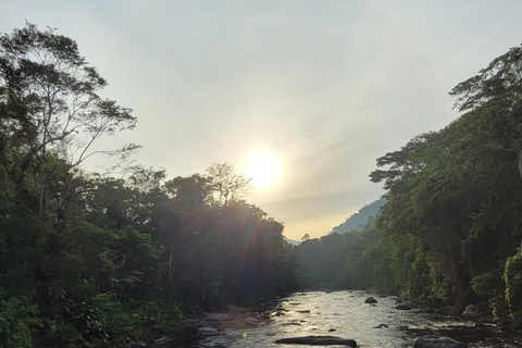 CAMINHO DO OURO - Guided tour Atlantic Forest, Waterfalls, Stories.