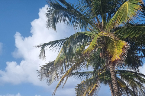 2 días Navegación Islas San Blas - Habitación privada en catamarán
