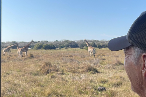 Maputo National Reserve Park Safari Excursion