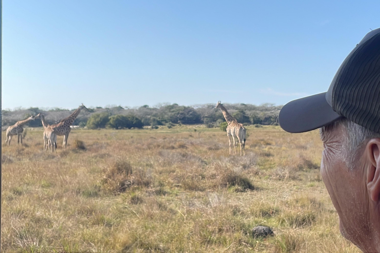 Maputo National Reserve Park Safari Excursion