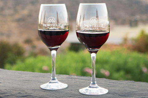 Santiago: Vinicola Monteluz Sunset Party Experience 360