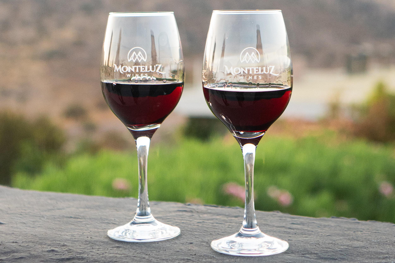 Santiago: Vinicola Monteluz Sunset Party Experience 360