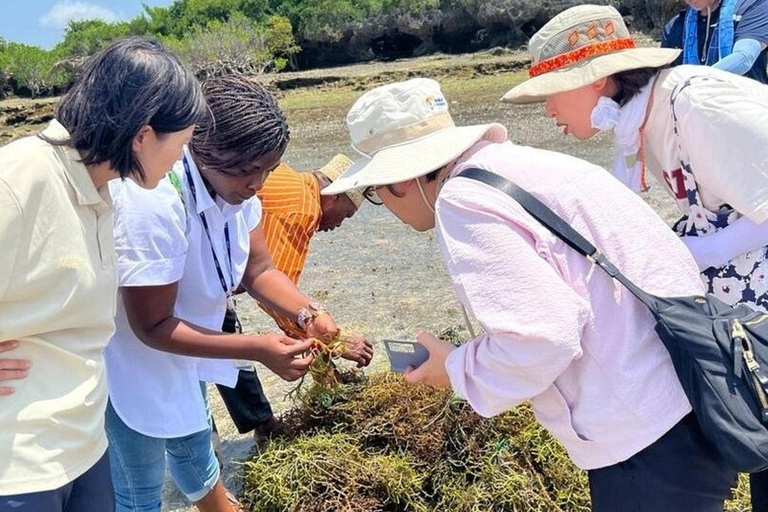 Lushoto : 4 jours d'aventure et de trek dans les montagnes de l'UsambaraLushoto : 4 jours d'aventure et de trek dans les montagnes d'Usambara