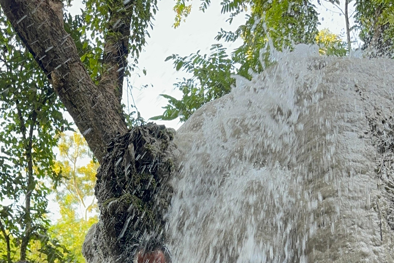 Chiang Mai: viagem de 1 dia com aventura na cascata Sticky e tirolesaChiang Mai: Viagem de 1 dia com aventura na cascata Sticky e tirolesa