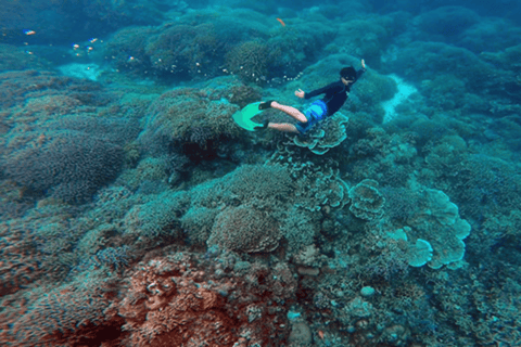 Ultimate 4-Day Cebu to Bohol Tour