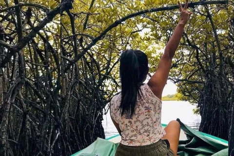From Bentota: Exclusive Madu River Safari & Turtle Hatchery