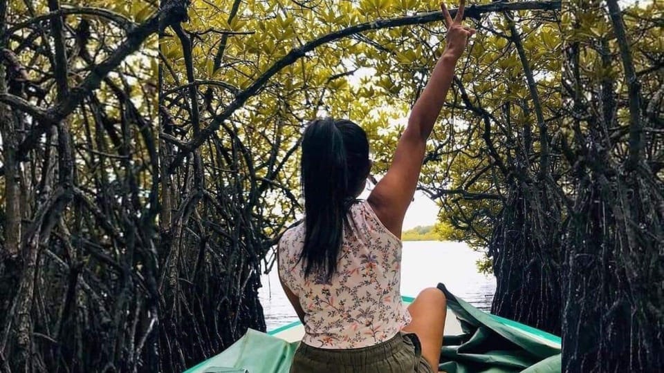 A passenger sitting in the bow of a small boat under an arch of tangled mangrove roots, one arm raised, open water ahead