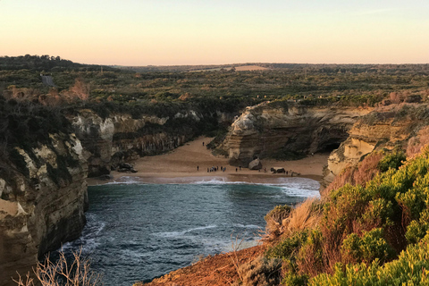 Desde Melbourne: Excursión guiada de un día a Great Ocean Road