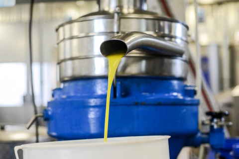 Montpellier : Visit an Olive Oil Mill