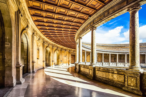 Granada: Alhambra & Nasrid Palaces Tour with Tickets Private Tour in Spanish