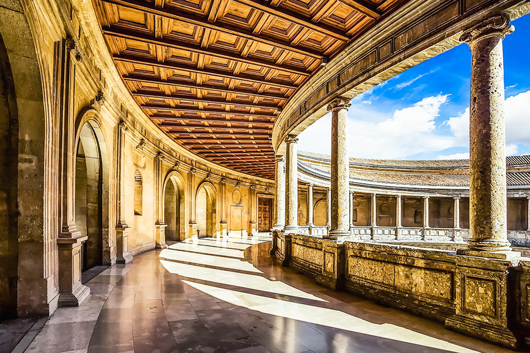 Granada: Alhambra &amp; Nasrid Palaces Tour with TicketsPrivate Tour in Italian