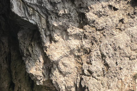 Lefkimmi to Syvota: Caves & Blue Lagoon Day Cruise