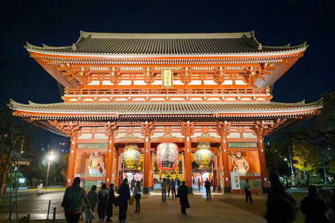 Tokyo Night Private Tour With English Speaking Driver