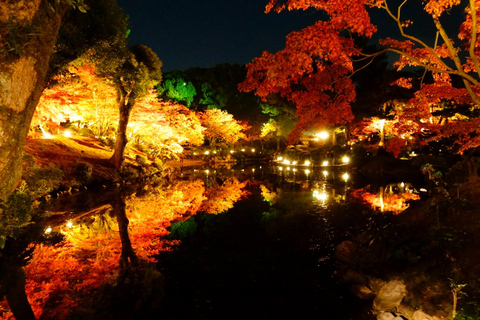 Private Shore Excursion: Hiroshima Highlights